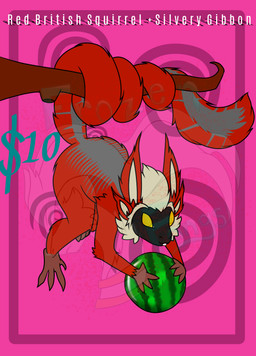 ambiguous_gender anthro buckteeth food fruit fur holding_food holding_object melon multicolored_body multicolored_fur plant prehensile_tail red_body red_fur simple_background solo tail teeth watermelon yellow_eyes frozenfangs haplorhine hybrid mammal monkey primate absurd_res distracting_watermark hi_res watermark
