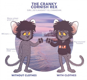 3_toes 4_fingers anthro barefoot biped black_clothing black_hair black_nose black_pawpads black_topwear bottomless claws clothed clothing eyewear featureless_crotch feet female fingers flat_chested front_view frown fur glasses grey_body grey_fur hair half-closed_eyes hoodie long_tail looking_away messy_hair multiple_poses narrow_hips narrowed_eyes nude outside pawpads paws photo_background pose short_hair simple_background solo standing sunset tail text thigh_gap thin_calves thin_legs thin_thighs toes tomboy toony topwear water whiskers white_background yellow_eyes yellow_sclera retrolicious cranky_(retrolicious) cornish_rex domestic_cat felid feline felis mammal rex_(cat) 2016 character_name digital_media_(artwork) english_text full-length_portrait model_sheet photography_(artwork) portrait shaded soft_shading