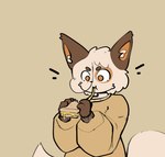anthro biped brown_body brown_fur clothed clothing eating eating_food eyebrows fingers food fur grilled_cheese inner_ear_fluff male mouth_closed multicolored_body multicolored_fur orange_eyes sandwich_(food) simple_background solo tail topwear tuft white_body white_fur white_tail divucup divu_(divucup) domestic_cat felid feline felis mammal hi_res