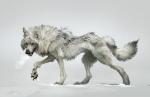 abstract_background ailah ambiguous_gender canid canine canis claws feral fur mammal pawpads simple_background snow solo standing walking white_background white_body white_fur wolf