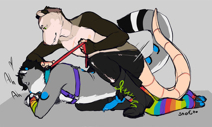 anal anal_penetration animal_genitalia animal_penis anthro boots canine_genitalia canine_penis clothing collar duo femboy footwear genitals heart_symbol knot leash leash_pull legwear male male/male male_penetrated male_penetrating male_penetrating_male penetration penis sex shoes stockings text snofu american_opossum felid mammal marsupial pantherine snow_leopard