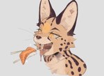 anthro cheek_tuft chopsticks facial_tuft fangs fish_meat food fur inner_ear_fluff markings meat nigirizushi open_mouth pupils rice salmon_(food) slit_pupils solo spots spotted_body spotted_fur sushi teeth tongue tongue_out tuft whiskers strayserval lex_(servalex) felid feline mammal serval 2021 hi_res icon