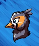 accessory beak blue_eyes feral grey_body male markings neutral_expression orange_markings solo gyrotech scruffasus mythology ruzzy avian gryphon mythological_avian mythological_creature zebra_finch bust_portrait portrait