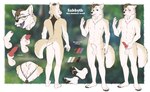 4_toes animal_genitalia animal_penis anthro big_sheath blush brown_eyes butt canine_genitalia canine_penis ear_blush ears_back eyewear feet fluffy flustered flustered_male foot_focus fully_erect_inside_sheath fur genitals glasses hand_on_sheath holding_another's_sheath holding_knot holding_knot_root holding_own_knot holding_own_penis holding_own_sheath holding_penis holding_sheath jewelry knot knot_in_sheath knotted_penis lipsticking long_sheath male multi_nipple necklace nipples nude pawpads paws penis penis_tip pivoted_ears plantigrade plantigrade_pawpads retracted_sheath rounded_ears scruffy sheath sheath_grab sheath_pull sheath_pulled_back solo tan_body tan_fur tasteful_nudity text toes tuft whiskers viskasunya sabbyth canid canine canis mammal wolf absurd_res english_text hi_res model_sheet