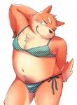 anthro armpit_hair balls_in_underwear balls_outline barazoku belly bikini bikini_bottom bikini_top blush bodily_fluids body_hair bulge chest_tuft clothed clothing crossdressing detailed_bulge fur genital_outline kemono male one_eye_closed overweight overweight_anthro overweight_male penis_outline pose solo sweat swimwear tuft two-piece_swimsuit wink diru11 canid canine canis domestic_dog mammal absurd_res hi_res