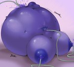 anthro berry_juice big_breasts blueberry_inflation breast_expansion breasts expansion female female_penetrated hose hose_in_mouth hose_in_nipple hose_in_pussy hose_inflation huge_breasts hyper hyper_breasts inflation inflation_fetish juice_(beverage) nipple_fetish nipple_penetration nipple_play nipples nude onomatopoeia penetration slosh solo sound_effects text lotorloon cessily_(lotorloon) mammal procyonid raccoon juice_(disambiguation) 2021 digital_media_(artwork) hi_res shaded