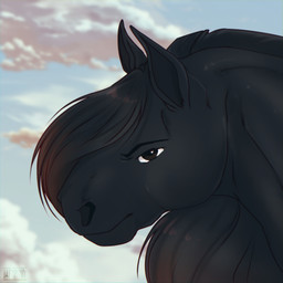 ambiguous_gender black_body black_fur black_hair brown_eyes cloud fur hair sky solo shyryp equid equine horse mammal absurd_res digital_media_(artwork) hi_res portrait