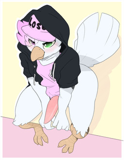 animal_genitalia anthro beak biped blush bottomless clothed clothing erection feathers genitals hair heterochromia hood_up hoodie looking_at_viewer male penis simple_background sitting smile solo tapering_penis text topwear white_body white_feathers backsash sash_(backsash) avian bird gull lari larid 2018 digital_media_(artwork) hi_res
