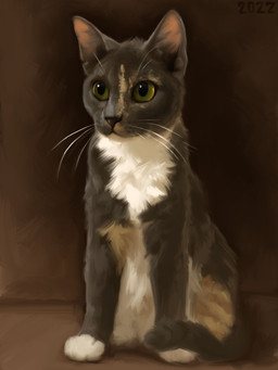adolescent ambiguous_gender belly black_body black_fur brown_background feral fur green_eyes markings quadruped short_fur simple_background sitting solo tan_belly tan_markings whiskers white_chest young alexpahomov domestic_cat felid feline felis mammal 2022 hi_res