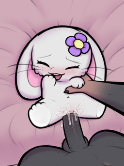 accessory anthro bed bedroom blush chibi duo female female_focus flower flower_in_hair furniture genitals hair hair_accessory male penetration plant purple_eyes size_difference solo_focus stubby_arms stubby_legs vaginal vaginal_penetration vulva young young_anthro milachu92 lantha lagomorph leporid mammal rabbit hi_res adult_(lore)