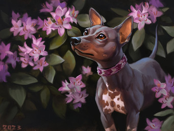 ambiguous_gender black_body black_nose black_skin brown_body brown_eyes brown_skin brown_spots collar darkness feral flower hairless nature outside plant shrub solo spots white_legs white_underside alexpahomov american_hairless_terrier canid canine canis domestic_dog hairless_dog hunting_dog mammal terrier 2023 4:3 digital_media_(artwork) digital_painting_(artwork) painting_(artwork)