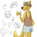 4_fingers anthro beverage biped bottomwear clothing coffee fingers food hair hair_over_eyes hairy holding_object male shirt shorts simple_background slightly_chubby solo standing tail tank_top text topwear white_background delirost deli_(delirost) bird_dog canid canine canis domestic_dog golden_retriever hunting_dog mammal retriever 1:1 english_text hi_res model_sheet sketch_page