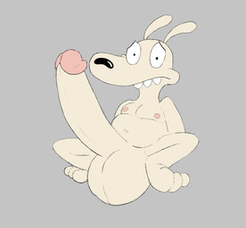balls big_balls big_penis ears_up feet genitals huge_balls huge_penis hyper hyper_balls hyper_genitalia hyper_penis male navel nipples overbite penis simple_background slightly_chubby solo marvofun nickelodeon rocko's_modern_life rocko_rama macropod mammal marsupial wallaby hi_res