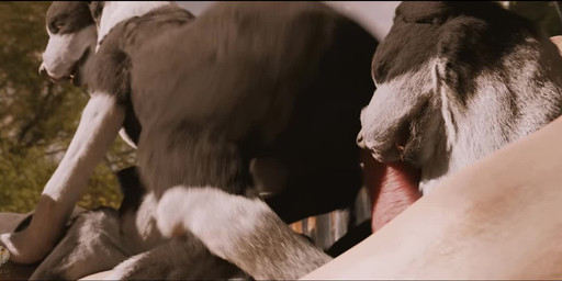 ambiguous_penetration anal anal_penetration animal_genitalia animal_penis bisexual bound canine_genitalia canine_penis cowgirl_position cunnilingus equine_genitalia equine_penis erection fellatio female female_feral female_penetrated feral feral_on_bottom feral_on_feral feral_on_top feral_penetrated feral_penetrating feral_penetrating_feral fivesome from_front_position fur genitals group group_sex interspecies intraspecies knot knotted_penis large_penetration looking_at_viewer male male/female male/male male_feral male_penetrated male_penetrating male_penetrating_female male_penetrating_male obscured_penetration on_bottom on_top oral oral_penetration penetration penile penile_penetration penis penis_in_mouth realistic_feral rear_view sex shepherd sucked_and_plowed vaginal sound_warning trioami260 canid canine canis collie domestic_dog equid equine herding_dog mammal pastoral_dog sheepdog 3d_(artwork) 3d_animation animated digital_media_(artwork) short_playtime sound video