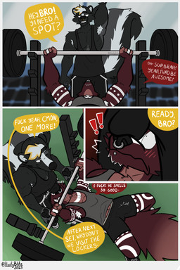 anthro armpit_hair armpit_tuft barbell becoming_erect bench_press body_hair bottomwear bro bulge clothing crotch_sniffing detailed_bulge dialogue duo erection exercise gym hat headgear headwear jock lying male male/male midriff multicolored_body muscular muscular_male musk on_back piercing profanity shirt shorts sniffing speech_bubble spotting standing tank_top text topwear workout floofyblitz gulonine hybrid mammal marten mephitid mustelid musteline skunk 2:3 absurd_res comic english_text hi_res