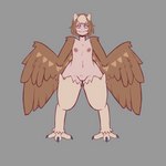 feathered_wings feathers female genitals monster_girl_(genre) nipples pose pussy solo wings traknoch european_mythology greek_mythology mythology nintendo pokemon animal_humanoid avian avian_humanoid decidueye generation_7_pokemon harpy humanoid mammal mythological_avian mythological_creature pokemon_(species) 1:1 absurd_res hi_res