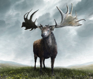 antlers black_nose brown_body brown_fur cloud cloudy_sky feral fur grass horn huge_antlers plant quadruped short_fur sky solo mihin89 cervine deer irish_elk mammal megaloceros prehistoric_species 2018