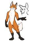 anthro anthrofied bent_arm canid canine casual_nudity cheek_tuft dreamworks facial_tuft fink_(the_wild_robot) flat_colors fluffy fluffy_tail fox fur fuzzy gloves_(marking) hi_res jrjresq leg_markings male mammal markings nude orange_body orange_fur prick_ears simple_background slim smile socks_(marking) solo standing tail the_wild_robot tuft whiskers white_background yellow_eyes