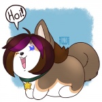 alternate_species collar dialogue female feral fur hair multicolored_hair open_mouth simple_background solo speech_bubble star text two_tone_hair nut-case undertale undertale_(series) temmie_(undertale) canid canine canis domestic_dog herding_dog husky mammal nordic_sled_dog pastoral_dog spitz welsh_corgi 1:1 2016 english_text signature