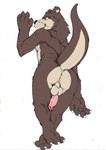 anthro anus balls biped black_nose brown_body butt dakimakura erection genitals humanoid_genitalia humanoid_hands humanoid_penis male penis simple_background solo white_background hopelesshighschool password_(visual_novel) benson_(password) mammal mustelid otter 2022 dakimakura_design hi_res