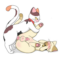 anal anal_penetration anus balls bell bell_collar blush blushing_profusely bodily_fluids body_blush collar covering covering_mouth duo embarrassed erection eyes_closed feral feral_on_feral genital_fluids genitals holding_leg hugging_leg looking_at_another male male/male mottled open_mouth penetration penile_spines penis piebald precum shy simple_background spread_legs spreading whiskers white_background catmakinbiscuits chip_(catmakinbiscuits) chisoon_(catmakinbiscuits) calico_cat domestic_cat felid feline felis mammal 1:1 hi_res