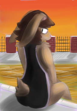 ambiguous_gender anthro brown_body brown_fur clothing fur one-piece_swimsuit poolside sideless_swimsuit slim solo sunset swimming_pool swimwear bunbijou lagomorph leporid mammal rabbit