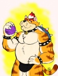 anthro ball_of_yarn bulge clothing collar hair looking_at_viewer male musclegut muscular muscular_anthro muscular_male overweight overweight_anthro overweight_male shell simple_background slightly_chubby solo spikes teeth underwear whiskers yarn caseyljones mario_bros nintendo meowser domestic_cat felid feline felis koopa mammal scalie