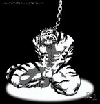 anthro balls bdsm bondage bound chain collar flaccid genitals hands_behind_back kneeling looking_at_viewer male muscular muscular_sub nipples penis solo spiked_collar spikes submissive submissive_male grisser felid mammal pantherine tiger 2004 black_and_white monochrome