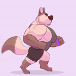 4_fingers anthro biceps big_muscles black_claws black_nose bottomwear brown_body brown_fur claws clothing ear_piercing eyebrows fingers fur huge_muscles male multicolored_body multicolored_fur muscular muscular_anthro muscular_male pawpads pecs piercing plantigrade running shirt shorts simple_background solo tan_body tan_fur tank_top thick_eyebrows topwear triceps two_tone_body two_tone_fur lizard_soup donovan_(lizard_soup) canid canine canis domestic_dog mammal 2019 animated hi_res no_sound short_playtime webm