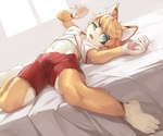 accessory anthro athletic bed blonde_hair blue_eyes bottomwear bulge clothed clothing countershading fluffy fur furniture gloves_(marking) hair hair_accessory hair_tie kemono leg_markings looking_away lying male markings multicolored_body narrowed_eyes navel on_bed open_mouth pawpads pink_pawpads raised_clothing raised_shirt raised_topwear red_bottomwear red_clothing red_shorts shirt shorts shota socks_(marking) solo t-shirt tan_body tan_fur topwear two_tone_body two_tone_face white_body white_fur window young young_anthro nayoshi744 canid canine fox mammal 2018 6:5