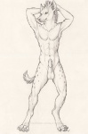 4_toes abs animal_genitalia anthro balls claws collarbone digitigrade erection feet front_view genitals hands_behind_back humanoid_genitalia humanoid_penis looking_at_viewer male navel nude pecs penis pose sheath simple_background solo spots tail toes v-cut white_background myenia hyena mammal spotted_hyena 2011 full-length_portrait greyscale monochrome portrait sketch