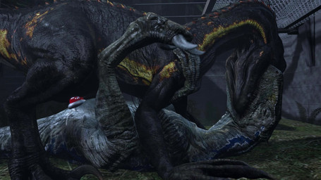 animal_genitalia biped bipedal_feral black_body black_scales blonde_highlights bodily_fluids claws cloaca cloacal cloacal_penetration cum dorsal_crest duo erection eyes_closed female female_penetrated feral feral_on_feral feral_penetrated feral_penetrating feral_penetrating_feral forest french_kissing from_front_position genital_fluids genitals gentle_maledom gentle_sex grass highlights_(coloring) kissing larger_female larger_feral larger_penetrated looking_pleasured lying male male/female male_feral male_penetrating male_penetrating_female missionary_position moan nature night on_back on_top outside outside_sex penetration penile penile_penetration penis penis_in_cloaca plant realistic_feral rock romantic romantic_sex scales sex sickle_claw size_difference smaller_male toe_claws tree ireallyliketanks frontier_developments jurassic_park jurassic_world jurassic_world_evolution universal_studios blue_(jurassic_world) ripper_(jurassic_world) dinosaur dromaeosaurid hybrid indoraptor prehistoric_species reptile saurischian scalie theropod velociraptor 16:9 3d_(artwork) 3d_animation animated digital_media_(artwork) hi_res loop short_playtime sound video widescreen