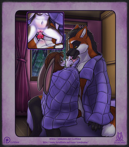 animal_genitalia animal_penis anthro bed bedding black_nose blanket blue_eyes bodily_fluids boop breasts brown_body brown_hair canine_genitalia canine_penis cheek_tuft claws close-up countershade_face countershade_torso countershading cum cum_in_vagina cum_inside cum_on_penis dark_hair digitigrade dipstick_tail duo evergreen_tree eye_contact eyebrows facial_markings facial_tuft female female_penetrated finger_fetish finger_lick finger_play fingers from_front_position furniture genital_fluids genitals hair head_markings inner_ear_fluff inside interspecies knot larger_male leaking_cum licking long_ears looking_at_another male male/female male_penetrating male_penetrating_female mane markings mask_(marking) mastery_position multicolored_body navel nipples nude on_bed open_mouth penetration penile penile_penetration penis penis_in_vagina pine_tree pink_nose plant raining red_body sex short_hair sitting size_difference small_breasts smaller_female smile tail tail_markings teeth text tongue tongue_out tree tuft two_tone_body vaginal vaginal_penetration vulva white_body window yellow_eyes lichfang canid canine lagomorph leporid mammal maned_wolf rabbit 2017 hi_res url