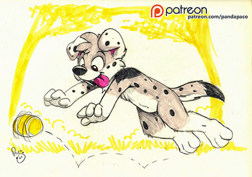 anthro ball black_nose brown_eyes dipstick_tail fur glistening glistening_eyes gloves_(marking) grey_body grey_fur jumping leg_markings male markings nude open_mouth open_smile playful side_view smile socks_(marking) solo spots spotted_arms spotted_legs spotted_markings spotted_tail tail tail_markings text tongue tongue_out white_body white_fur young young_anthro young_male pandapaco canid canine canis domestic_dog mammal sketch url