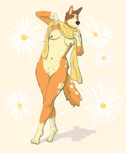 3_toes 4_fingers abstract_background ankle_tuft anthro areola arm_tuft bent_arm biped black_eyes black_nose breasts breasts_apart brown_areola brown_body brown_ears brown_fur brown_nipples cheek_tuft crotch_tuft dark_areola dark_nipples digitigrade ear_tuft elbow_tuft erect_nipples eyebrows facial_tuft featureless_crotch feet female fingers fur fur_tuft gloves_(marking) half-closed_eyes head_tuft head_turned hip_tuft holding_object holding_towel humanoid_hands knee_tuft leaning leaning_sideways leg_tuft light_body light_fur light_markings long_legs looking_away markings mature_anthro mature_female medium_breasts mouth_closed multicolored_body multicolored_breasts multicolored_fur multicolored_tail narrowed_eyes navel nipples nude nude_anthro nude_female orange_body orange_breasts orange_fur orange_tail petals pointy_ears pose prick_ears pubes shadow shy simple_eyes snout solo spots spotted_arms spotted_body spotted_fur spotted_legs spotted_markings spotted_tail standing tail tail_markings tan_inner_ear three-quarter_view toes towel tuft two_tone_breasts two_tone_tail white_body white_breasts white_eyebrows white_fur white_markings white_sclera white_spots white_tail wide_hipped_anthro wide_hipped_female wide_hips wrist_tuft yellow_towel devaney bluey_(series) chilli_heeler australian_cattle_dog canid canine canis cattledog domestic_dog herding_dog mammal pastoral_dog 2025 digital_drawing_(artwork) digital_media_(artwork) full-length_portrait hi_res pinup portrait