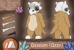 bone brown_body crystal duo emblem feral grey_eyes male markings simple_background skull solo tan_body text darknetic nintendo pokemon osseum_(trichotic) cubone generation_1_pokemon pokemon_(species) absurd_res english_text hi_res model_sheet