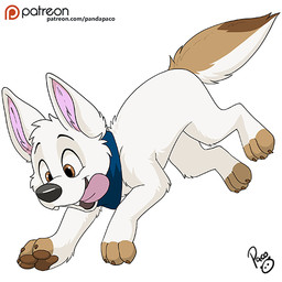 brown_claws brown_eyes brown_pawpads brown_tail claws feral fur glistening glistening_eyes inner_ear_fluff leg_markings logo male male_feral markings open_mouth open_smile patreon_logo pawpads pink_inner_ear_fluff pink_tongue side_view smile socks_(marking) solo tail text tongue tuft white_body white_fur white_tail young young_feral young_male pandapaco patreon canid canine canis domestic_dog mammal 1:1 artist_logo signature url