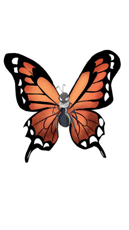 2_antennae 4_legs antennae_(anatomy) anthro bald big_wings black_antennae black_body closed_smile eyelashes featureless_crotch female flying front_view insect_wings lepidopteran_wings looking_up monotone_background mouth_closed multicolored_wings nude orange_wings pupils simple_background small_pupils smile solo spread_wings white_background wings honeycombcrown mirabelle_(honeycombcrown) arthropod butterfly insect lepidopteran monarch_butterfly 9:16 hi_res