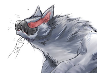 ambiguous/ambiguous ambiguous_feral ambiguous_gender beak black_beak chin_scratch disembodied_hand duo eyes_closed fangs feral fingers fur grey_body grey_ears grey_fur heart_symbol mouth_closed multicolored_body petting red_body simple_background solo_focus teeth text white_background gweow capcom monster_hunter flying_wyvern nargacuga 2019 4:3 colored_sketch digital_drawing_(artwork) digital_media_(artwork) japanese_description japanese_text shaded sketch soft_shading