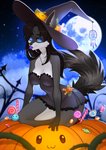 anthro black_hair black_nose blue_eyes candy clothing dessert female food fruit hair hat headgear headwear jewelry lingerie moon night plant pumpkin solo witch_hat nitricacid sila_dione mammal procyonid raccoon digital_media_(artwork) hi_res