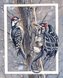 black_body black_eyes black_feathers black_scales claws duo feathered_wings feathers feral male membrane_(anatomy) membranous_wings outside perching plant red_body red_feathers red_scales scales snow tongue tongue_out tree white_body white_feathers white_scales wings winter heather_bruton avian bird bird_dragon hairy_woodpecker picid woodpecker 2025 acrylic_painting_(artwork) colored_pencil_(artwork) painting_(artwork) traditional_media_(artwork) traditional_painting_(artwork)