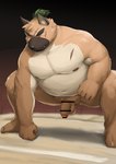 anthro balls belly big_belly black_nose blush brown_body censor_bar eyes_closed genitals humanoid_genitalia humanoid_hands humanoid_penis ineffective_censorship kemono male moobs navel nipples overweight overweight_male penis scar solo sumo sumo_ring barontoko lifewonders tokyo_afterschool_summoners yasuyori_(tas) canid canine canis domestic_dog mammal 2022 absurd_res censored hi_res