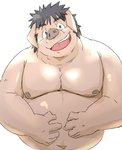 anthro belly humanoid_hands kemono male moobs navel nipples overweight overweight_anthro overweight_male simple_background solo white_background train_(artist) domestic_pig mammal suid suina sus_(pig) 2021