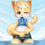 blush bulge clothed clothing clothing_lift looking_at_viewer male navel shirt shirt_lift shota sky solo topwear water young choki domestic_cat felid feline felis mammal 1:1 2020 absurd_res hi_res