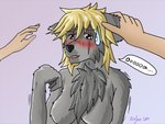 anthro blonde_hair blush bodily_fluids breasts chest_tuft collar female fur grey_body grey_fur group hair petting predators red_eyes rune solo_focus sweat sweatdrop text trio tuft farfener links the_auroran_archives chara_(links) shiyan_(links) canid canine canis coyote mammal wolf 4:3 colored hi_res