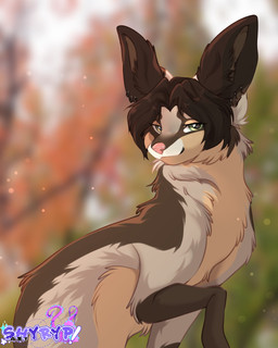 autumn bangs big_ears blurred_background bokeh brown_body brown_fur dark_hair ear_piercing feral fur green_eyes grey_body grey_fur hair looking_at_viewer looking_back male markings multicolored_body multicolored_fur outside piercing pink_nose ring_piercing short_hair smile smirk solo tan_body tan_fur white_body white_fur shyryp arterionix_skypaw canid canine mammal digital_media_(artwork) half-length_portrait hi_res portrait signature