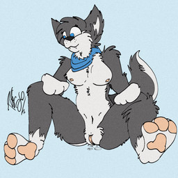 anthro breasts exposed_breasts female fur genital_focus genital_piercing genital_shot genitals grey_body happy joyful multicolored_body multicolored_fur nipples piercing raised_tail solo spread_legs spread_vulva spreading tail tail_tuft tuft vulva vulva_focus vulva_piercing vulva_shot piperis may_the_husky canid canine canis domestic_dog husky mammal nordic_sled_dog siberian_husky spitz 1:1