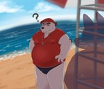 2022 absurd_res anthro beach bear belly big_belly black_nose bulge canid canine clothing detailed_background detailed_bulge duo genital_outline hat headgear headwear hi_res humanoid_hands kemono male mammal outside overweight overweight_male penis_outline polar_bear question_mark seaside solo_focus swimwear ursine water wdh3905 white_body
