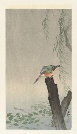 ambiguous_feral ambiguous_gender avian_feet beak big_beak biped bipedal_feral cjk_character detailed_background feathered_wings feathers feral fin flower fully_submerged group lake leaf outside plant predator/prey scuted_feet scuted_legs scutes side_view solo_focus standing tail tail_feathers tail_fin tree_stump trio water wings ohara_koson public_domain aquatic avian bird coraciiform fish kingfisher 20th_century absurd_res ancient_art hi_res traditional_media_(artwork)