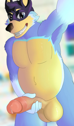 5_fingers anthro blurred_background bodily_fluids dripping erection fingers genital_fluids genitals holding_penis looking_at_viewer male nude_male pecs penis precum precum_drip selfie solo pantyking bluey_(series) bandit_heeler australian_cattle_dog canid canine canis cattledog domestic_dog herding_dog humanoid mammal pastoral_dog absurd_res hi_res